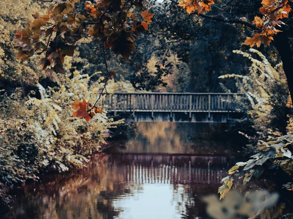 Träbro Sjö Med Vackra Träd Runt — Stockfoto