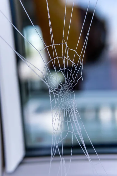 Close Shot Frozen Spider Web Windo — Stock Photo, Image