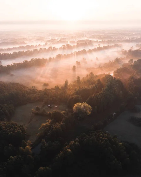 Vertical Shot Fields Covered Greenery Fog Sunlight Countryside — Zdjęcie stockowe