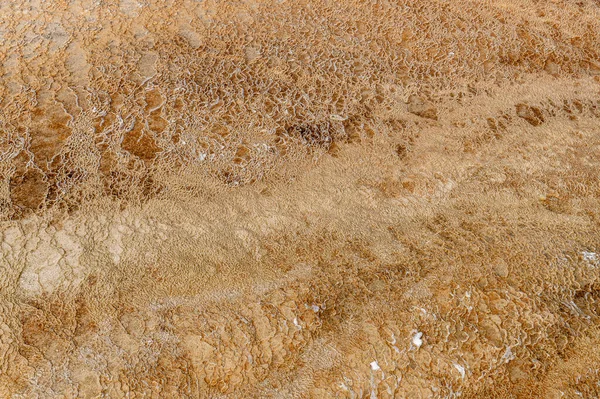 美国黄石公园的一个黄色的粗糙的岩石表面 裂缝是徒劳的 — 图库照片