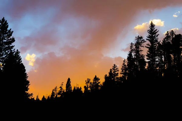 Beautiful View Tree Silhouettes Dramatic Sunset Sky — Stockfoto
