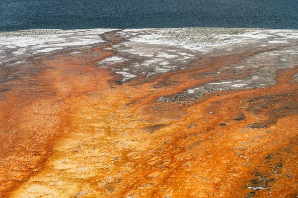 Yellow Rough Rocky Surface Vain Cracks Yellowstone National Park — Zdjęcie stockowe