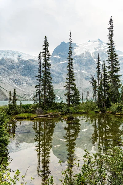 Tall Evergreen Trees Reflected Water Joffre Lakes Provincial Park Canad — Stockfoto