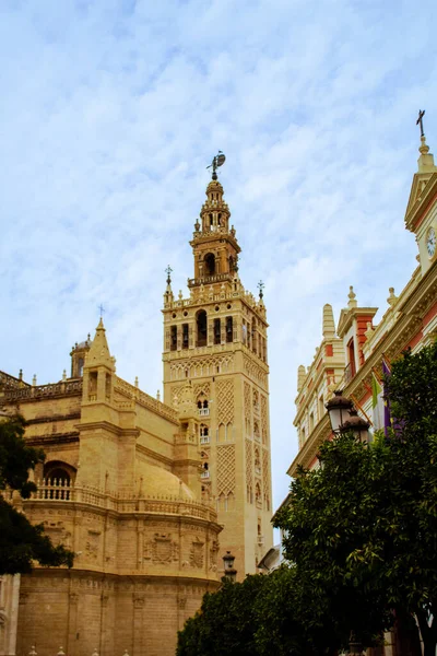 Giralda Bell Tower Seville Cathedral Seville Spain — Stok fotoğraf