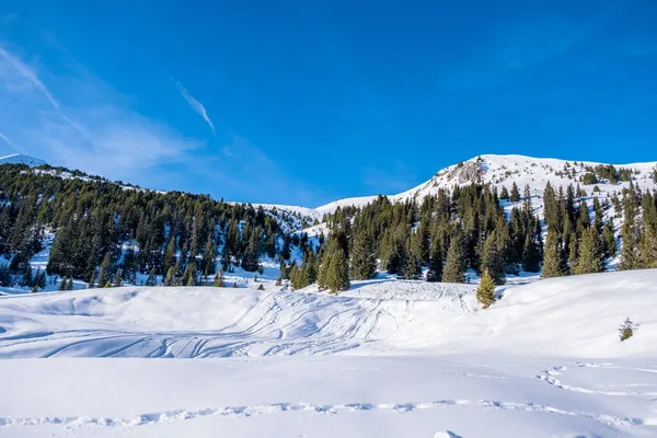 背景为蓝天的雪山和森林冬季景观 瑞士Arosa — 图库照片