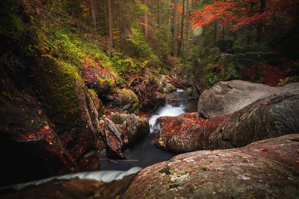 Beautiful View River Flowing Bavarian Forest Bodenmais Germany — ストック写真