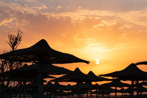 Заході Сонця Хургаді Єгипет Було Знято Силует Сонцезахисних Кремів — стокове фото