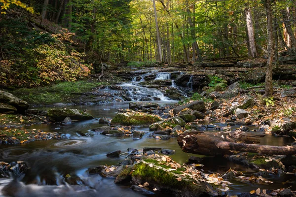 Rocky Stream Middle Forest Autumn — Fotografia de Stock