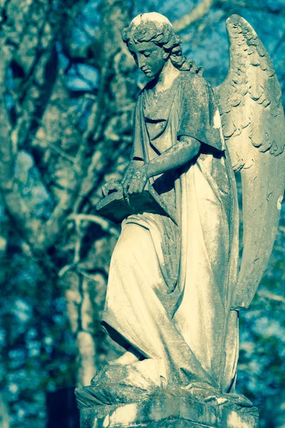 Colpo Verticale Una Lapide Nel Cimitero Myrtle Hill Roma Georgia — Foto Stock