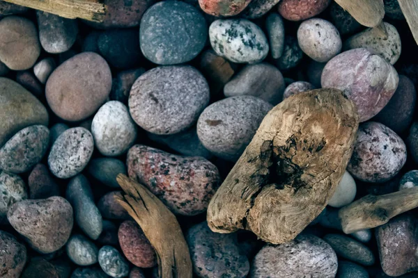Κοντινό Πλάνο Πέτρες Και Στοιχεία Ξύλου Στην Παραλία Της Βαλτικής — Φωτογραφία Αρχείου