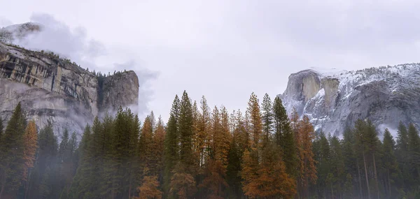 Beautiful Landscape Colorful Trees Yosemite National Park Gloomy Day California — Stock Fotó