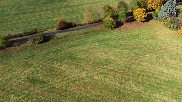 Aerial Shot Green Field Trees — Fotografia de Stock