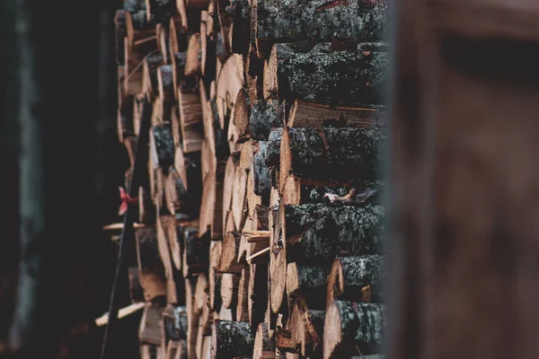 Ein Großer Haufen Geschnittener Dunkel Strukturierter Holzstämme — Stockfoto