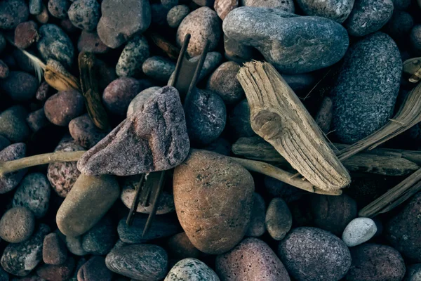 Close Pedras Elementos Madeira Praia Mar Báltico Lituânia — Fotografia de Stock