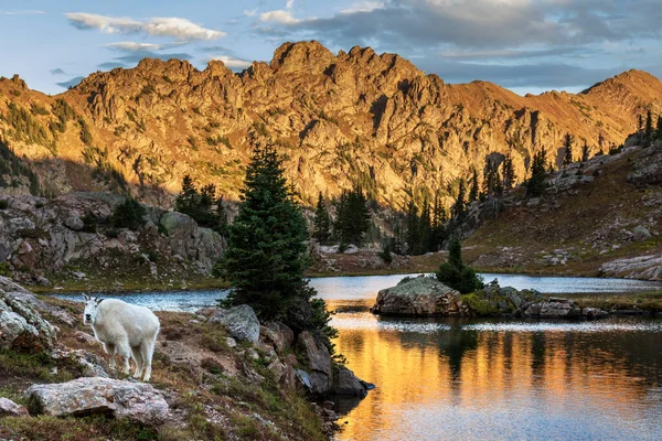 Mountain Goat Lake Rocky Hills Background —  Fotos de Stock