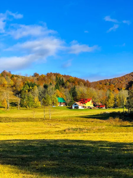 美丽的草地上 五彩缤纷的秋树 背景是群山蓝天 — 图库照片