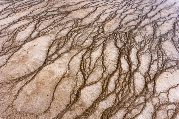 Dry Soil Texture Vain Cracks Yellowstone National Park — kuvapankkivalokuva