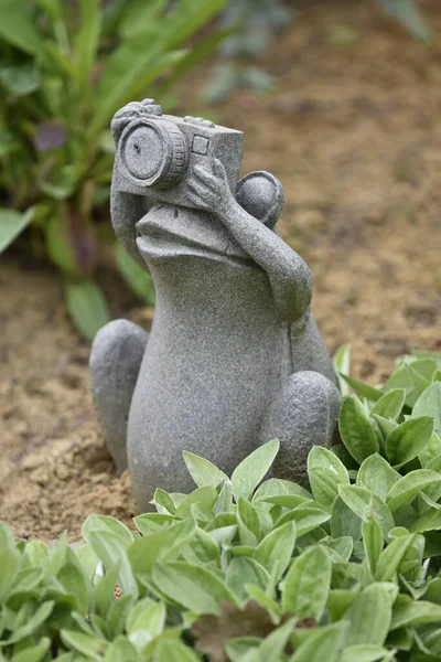 Blokhus Denmark 2021年6月26日 丹麦布洛克斯 一只可爱青蛙用相机拍照的创造性石雕 — 图库照片