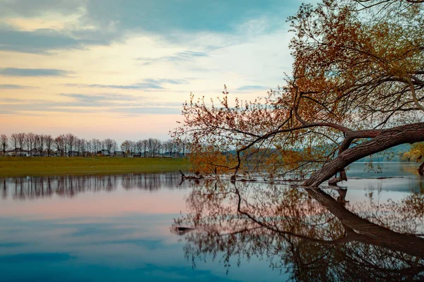 Landscape Lake Surrounded Trees Cloudy Sky Evening – stockfoto