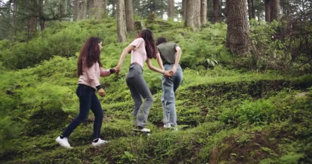Подруги Проводят Время Вместе Лесу — стоковое видео
