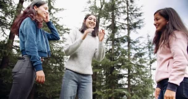 Female Friends Spending Time Together Forest — Stock Video