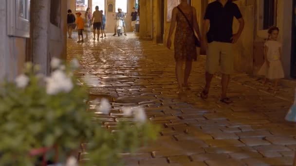 Venice Itália Circa Setembro 2019 Pessoas Andando Pela Rua Cidade — Vídeo de Stock