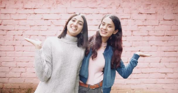Female Friends Posing Camera Front Brick Wall — 비디오