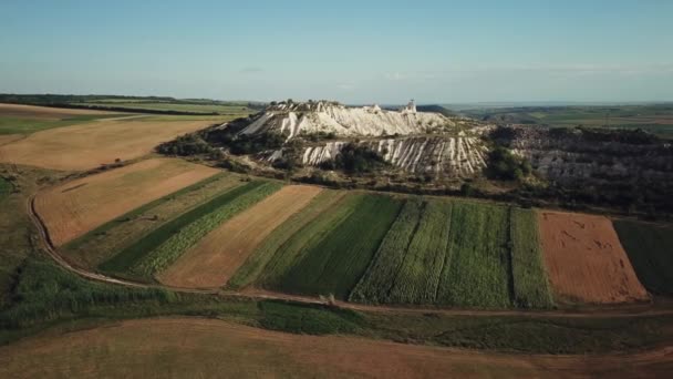 Vista Aérea Del Campo Del Río Verano — Vídeos de Stock