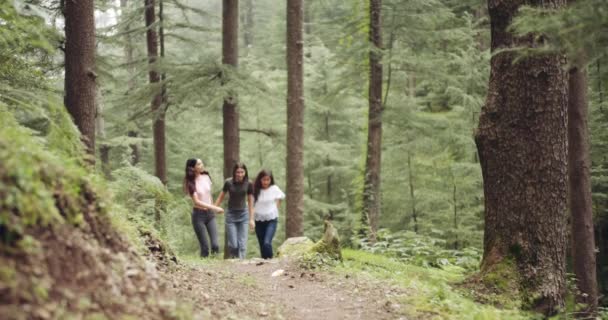 森の中で一緒に過ごす女性の友人のグループ — ストック動画