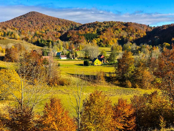 Colorful Autumn Trees Beautiful Meadow Hills Blue Sky Background — Fotografia de Stock