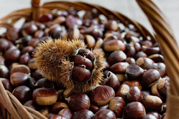 Closeup Shot Basket Full Freshly Picked Chestnuts — Stock Photo, Image