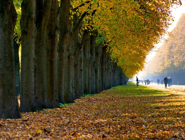 Ein Park Herbst Mit Spaziergängern Auf Dem Weg — Stockfoto