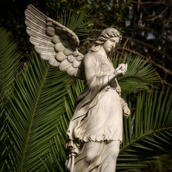 White Angel Statue Tropical Trees Background Park — Stockfoto