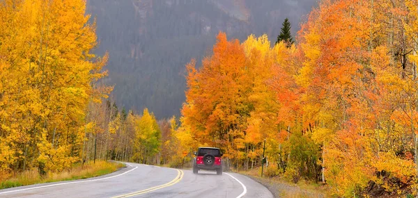 Die Bunten Espenbäume Schönen Herbstfarben Mit Blauem Himmel — Stockfoto