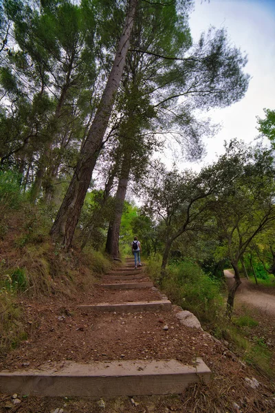 Een Verticale Opname Van Fuentes Del Marques Park Caravaca Cruz — Stockfoto