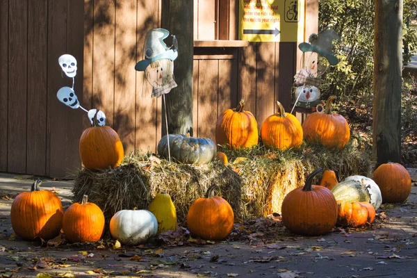 Scenic Shot Kansas City Zoo Missouri Usa Halloween Decorations — Photo