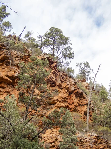 Vertical Shot Rocky Cliff Trees Cloudy Sky Background — Photo