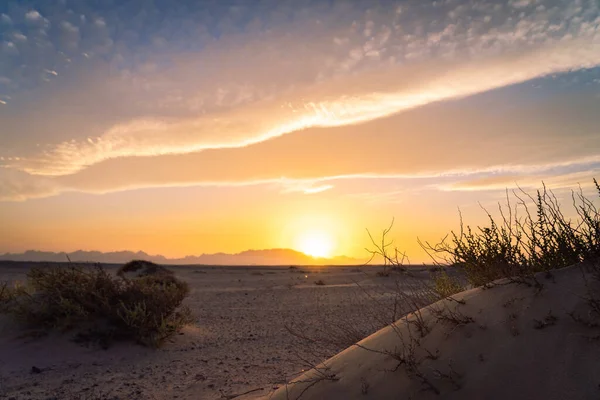 Een Woestijn Hurghada Egypte Tijdens Zonsondergang — Stockfoto