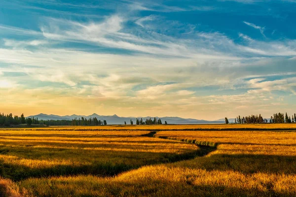 Breathtaking View Spacious Field Bright Sunny Autumn Day — Stock Photo, Image