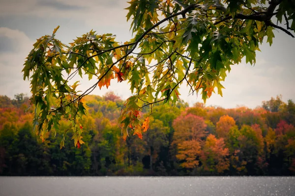 Breathtaking View Colorful Leaves Warm Autumn Day — Zdjęcie stockowe