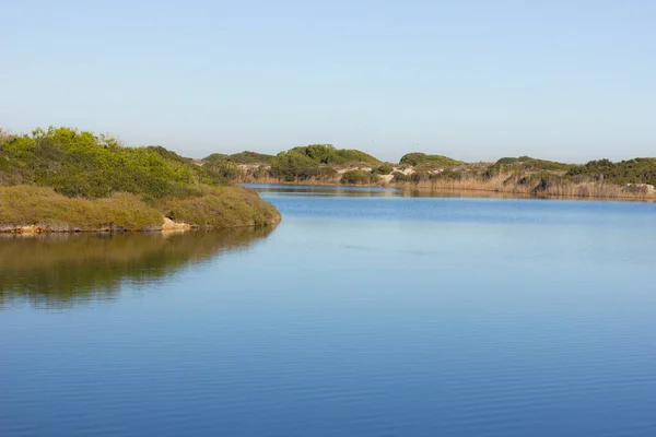 美丽的湖景和蓝色天空下的田野 — 图库照片