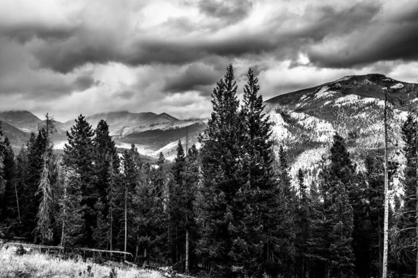 Grayscale Shot Rocky Mountain National Park Colorado Usa — Stockfoto