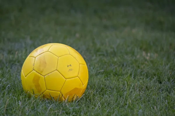 Closeup Vibrant Yellow Soccer Ball Lush Green — Stock Fotó