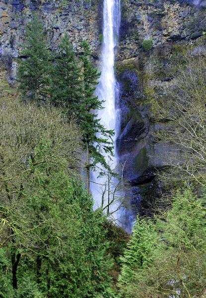 Vue Verticale Une Cascade Avec Falaises Verdure Dans Une Forêt — Photo