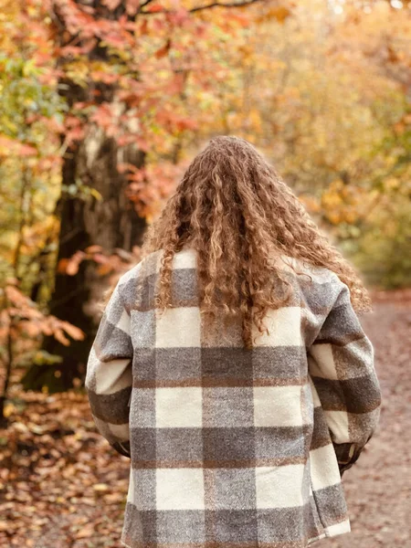 Задний Вид Кудрявую Девушку Гуляющую Осеннем Лесу Неймегене — стоковое фото