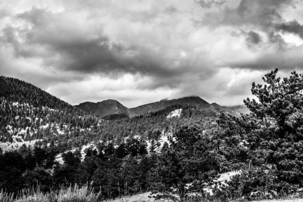 Grayscale Shot Rocky Mountain National Park Colorado Usa — Photo