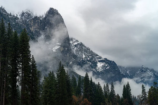 Landscape Evergreen Trees Yosemite National Park Foggy Gloomy Day California — 图库照片