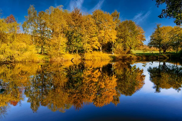 Okouzlující Pohled Barvy Podzimu Lese Krásnými Odrazy Jezerní Vodě — Stock fotografie