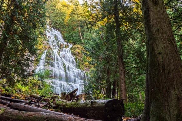 Stunning View Bridal Veil Falls Surrounded Lush Green Trees Canada — Foto Stock