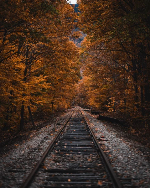 Tiro Vertical Uma Estrada Ferro Uma Floresta Outono — Fotografia de Stock